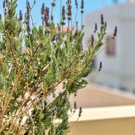 Island Of Luxury Apartments Ermoupoli Bagian luar foto