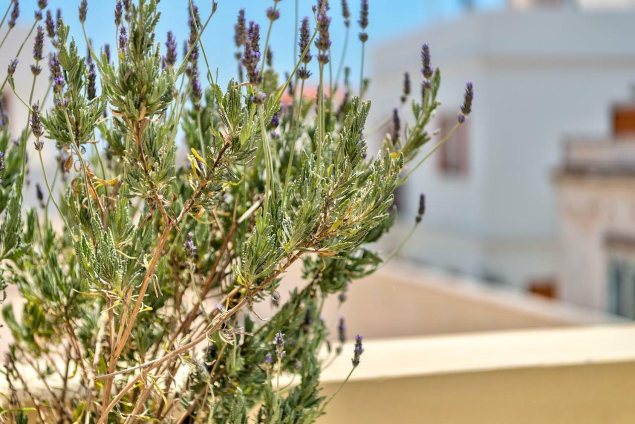 Island Of Luxury Apartments Ermoupoli Bagian luar foto